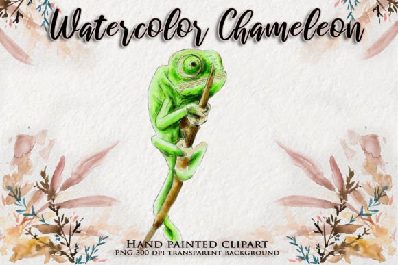 Chameleon Watercolor Animal Clipart: A Seller’s Real-World Design Review
