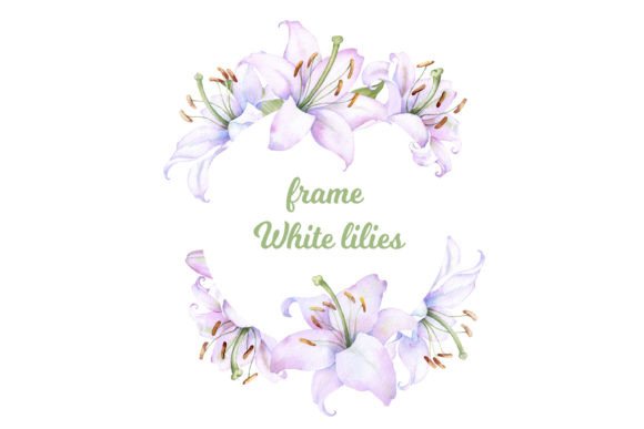 Elegant Touch with Round Frame Watercolor Lilie Illustrations