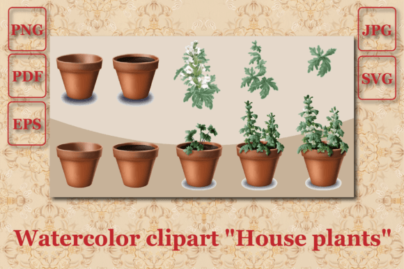 House Plants Flower Pots Watercolor Review