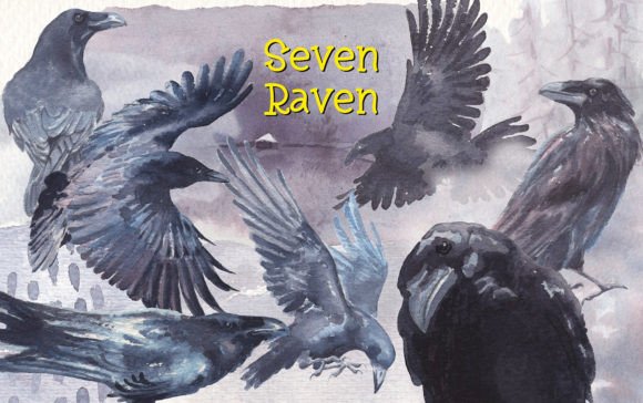Ravens Watercolor Clipart: A Designer’s Real-World Review