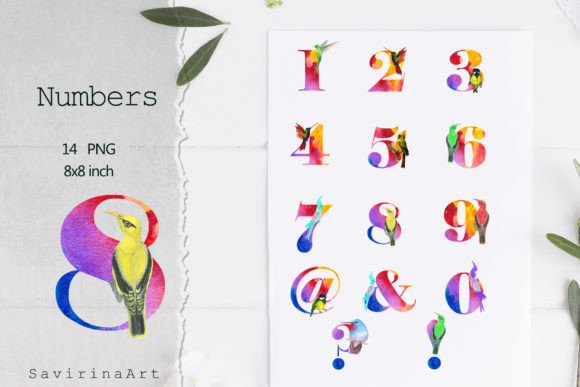 Tropical Bird Watercolor Png Number Illustrations