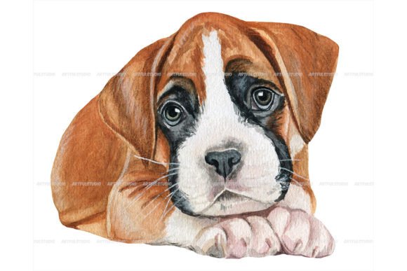Watercolor Boxer Puppy Portrait Png & Illustrations