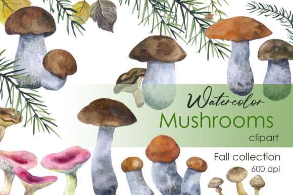 Watercolor Clipart Mushroom Autumn PNG: A Crafter’s Review for Real-World Projects