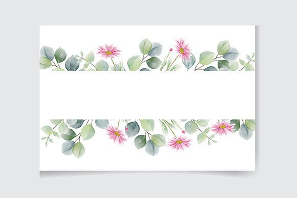 Watercolor Eucalypt Leaves and Flowers Illustrations