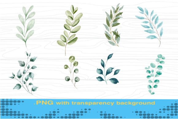 Watercolor Flower Clipart PNG for Illustrations